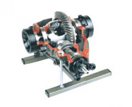 Vocational Differential with Locking Device Dissection Model