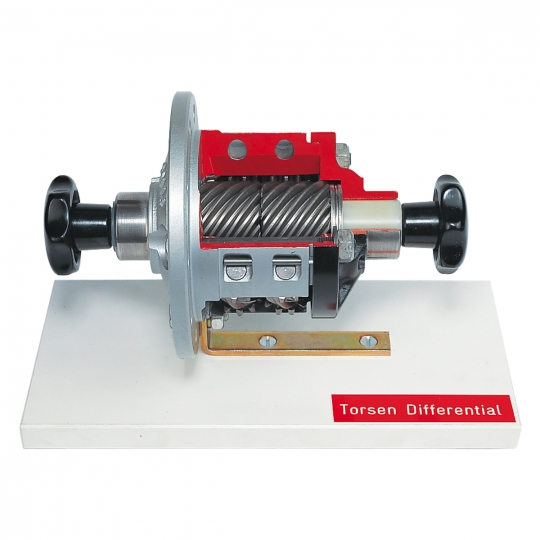 Vocational Torson center differential dissection model