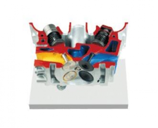 Vocational 4 Valves Engine Cylinder Head Dissection Model Training Equipment
