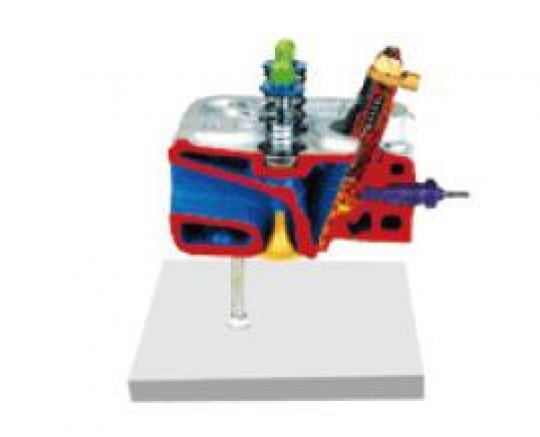 Vocational Cylinder Head with Pre-Combustion Chamber Dissection Model