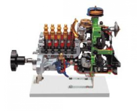 Vocational Centrifugal Injection Pump Dissection Model