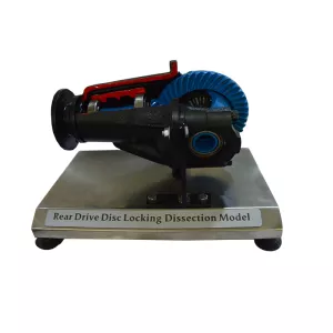 Vocational Rear Drive Disc Locking Dissection Model