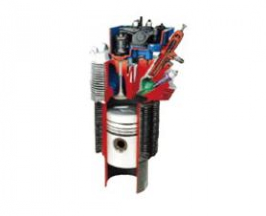 Vocational Diesel Engine Cylinder Dissection Model