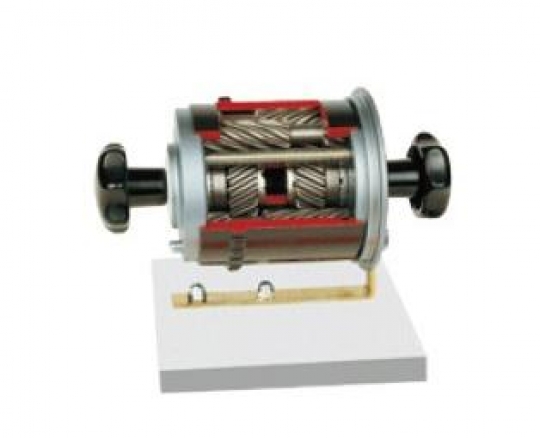Vocational Torson Axis Differential Dissection Model