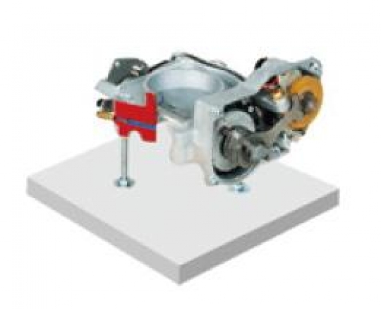 Vocational Throttle dissection model