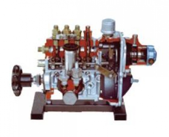 Vocational Anatomical Vacuum Control Injection Pump Dissection Model Educational Equipment