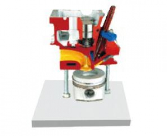 Vocational Direct Diesel Engine Cylinder Head Dissection Model