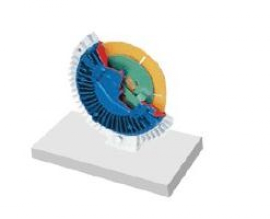 Vocational Viscous Fan Clutch Dissection Model